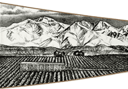 Bodega Trapezio