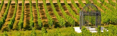 Quinta do Portal thumbnail 1