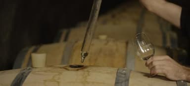 Sieur d'Arques thumbnail 4