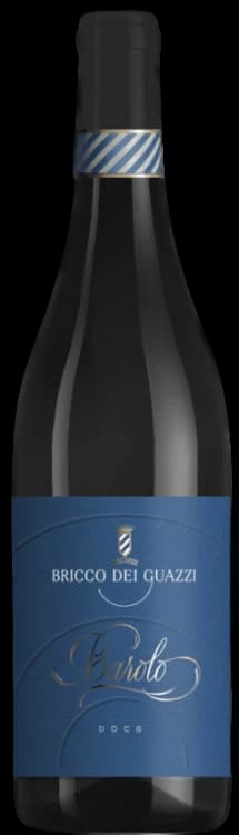 Bricco Barolo DOCG 2019 - 750ml – Bricco dei Guazzi