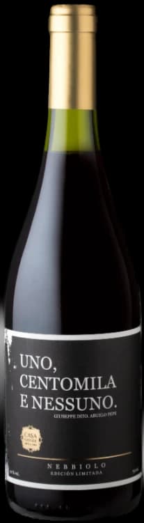 Casa Grande Uno, Centomila e Nessuno Nebbiolo 2020 - 750ml – Casa Grande Arte y Viña