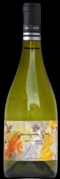 Casa Romero Soul Sauvignon Blanc 2023 - 750ml – Casa Romero
