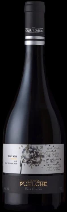 Casa Romero Viento Puelche Pinot Noir 2018 - 750ml – Casa Romero