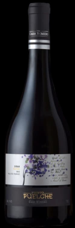 Casa Romero Viento Puelche Syrah 2022 - 750ml – Casa Romero