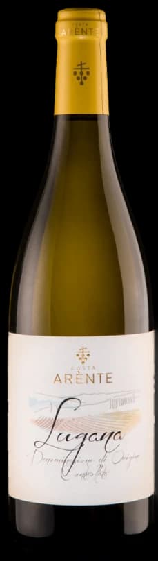Costa Arente Lugana DOC 2024 - 100% Trebbiano di Lugana - 750ml – Costa Arente