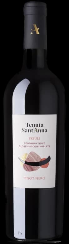 Tenuta Pinot Nero DOC Friuli 2022 - 750ml – Tenuta Sant'Anna