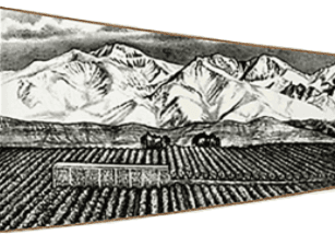 Bodega Trapezio logo