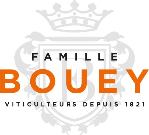 Maison Bouey logo