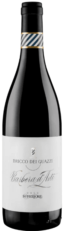 Bricco Barbera D'Asti DOCG 2020 - 750ml from Bricco dei Guazzi - Buy online
