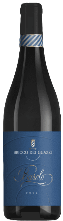 Bricco Barolo DOCG 2019 - 750ml from Bricco dei Guazzi - Buy online