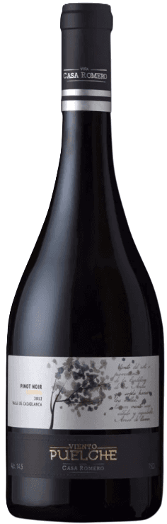 Casa Romero Viento Puelche Pinot Noir 2018 - 750ml from Casa Romero - Buy online